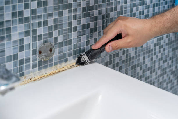 Certified Mold Removal in San Pablo, NM